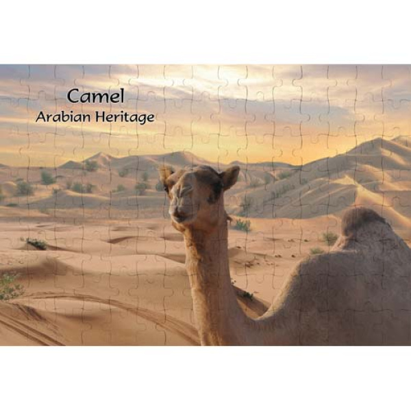 AJSPZ Camel 001 1
