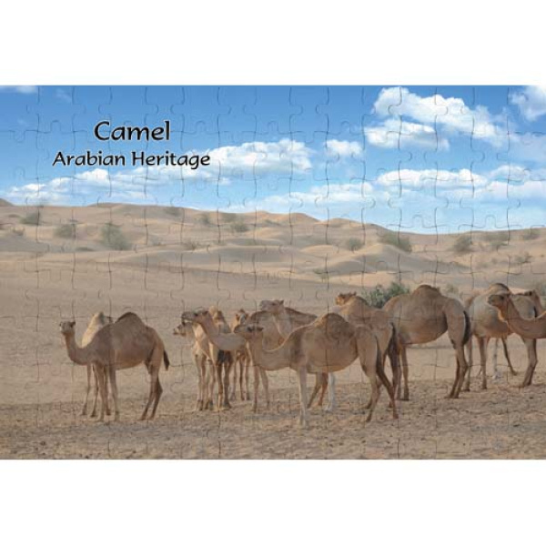 AJSPZ Camel 002 1