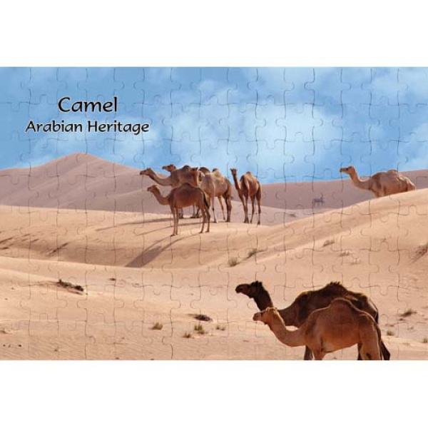 AJSPZ Camel 003 1