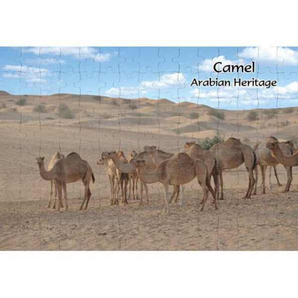 AJSPZ Camel 009 1