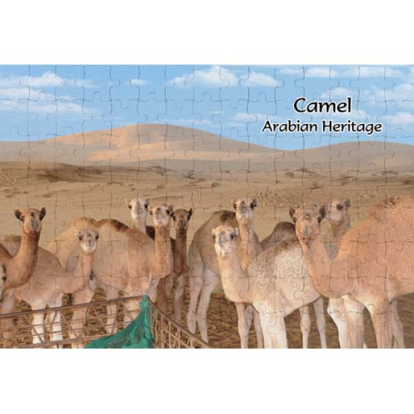 AJSPZ Camel 011 1