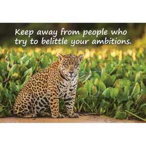 Ajooba Dubai Motivation Puzzle 7638