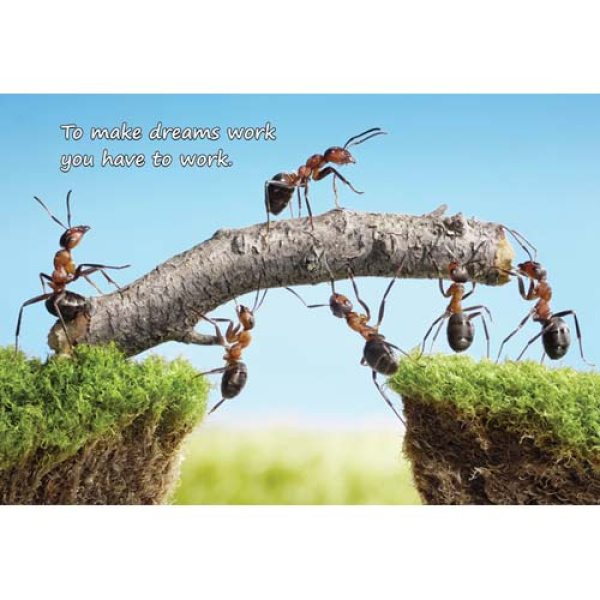 AJSPZ Motivational 7642 1