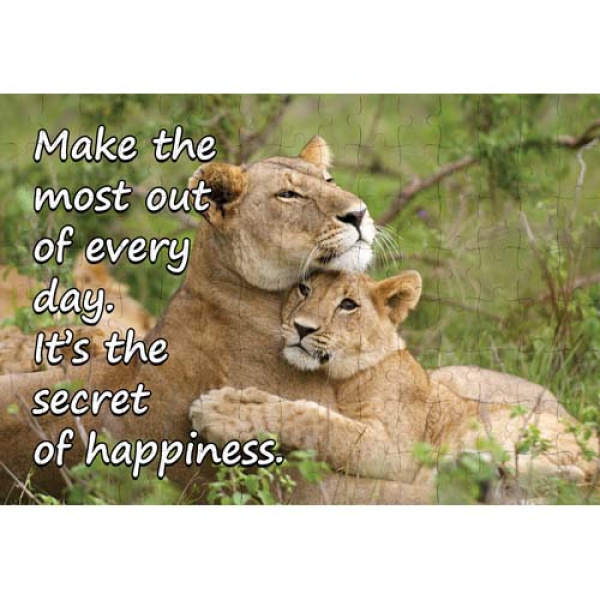 AJSPZ Motivational 7690 1