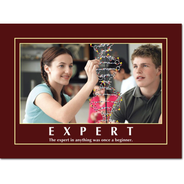 Motivational Print The expert in anything
