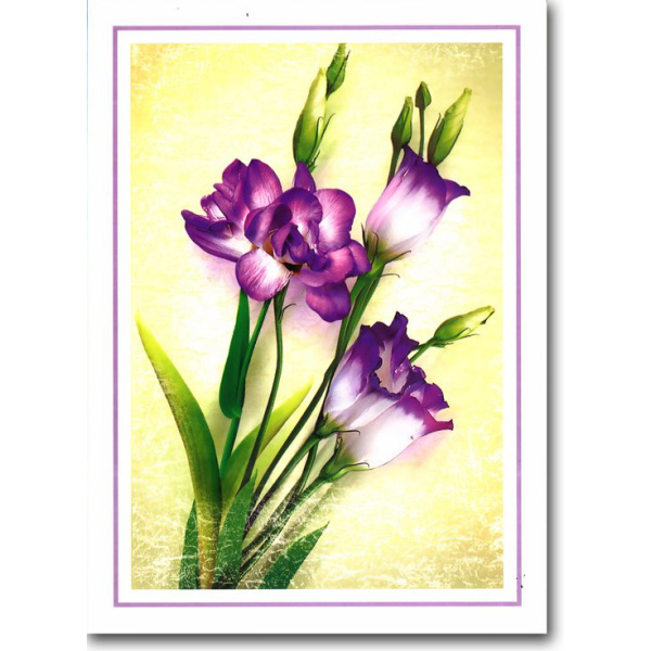 Corporate Christmas Card 043 1