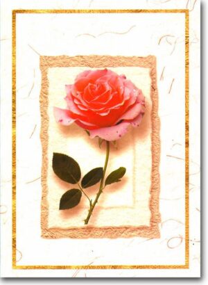 Corporate Christmas Card CCC 5044