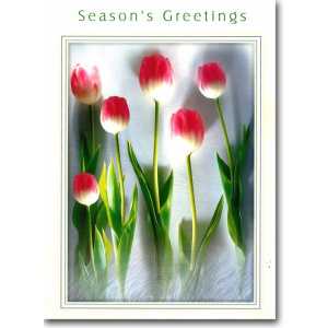 Corporate Christmas Card CCC 5048