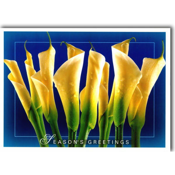 Corporate Christmas Card 051 1