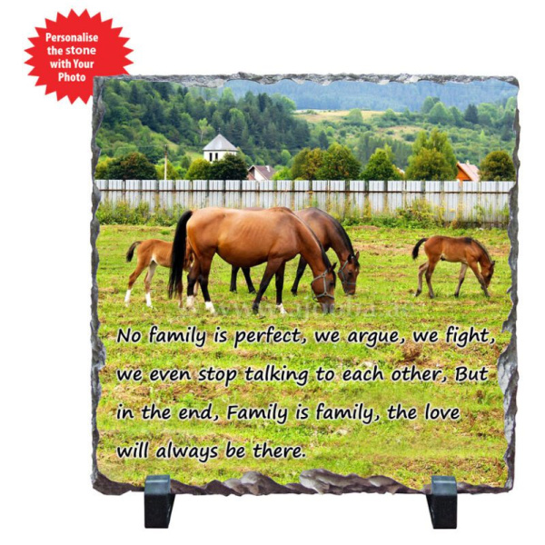 Family 008 1