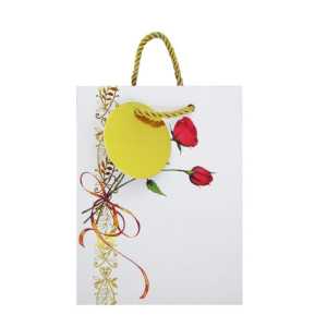 Gift Bag Small  8129 a