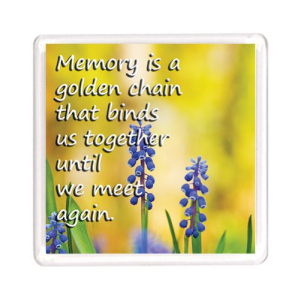 M 2215 copy 1