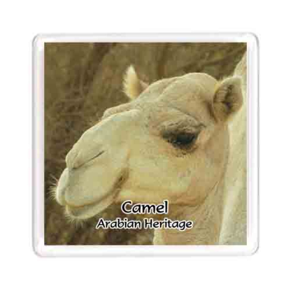 M Camel 008 copy 1