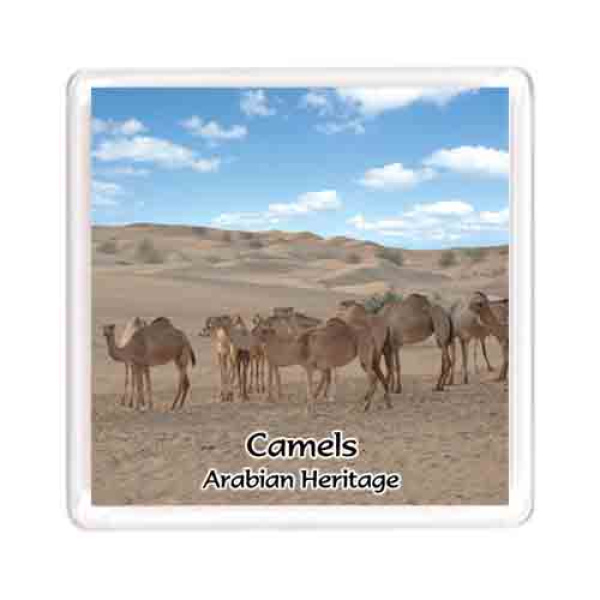 M Camel 009 copy 1