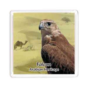 Ajooba Dubai Souvenir Magnet Falcon MG 005