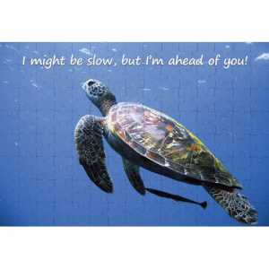 Ajooba Dubai Motivation Puzzle 2136