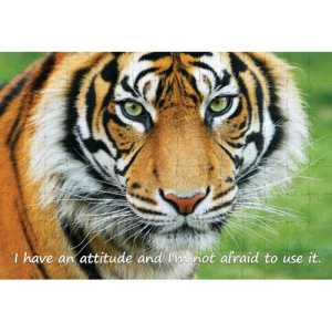 Ajooba Dubai Motivation Puzzle 2141