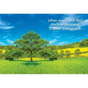 Ajooba Dubai Sister Love Puzzle 2144