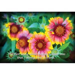 Ajooba Dubai Sister Love Puzzle 2242