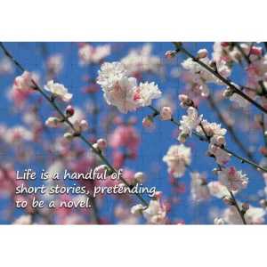 Ajooba Dubai Motivation Puzzle 2244