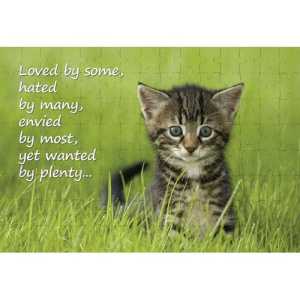 Ajooba Dubai Motivation Puzzle 2308