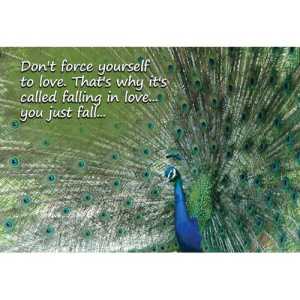 Ajooba Dubai Love Puzzle 2316