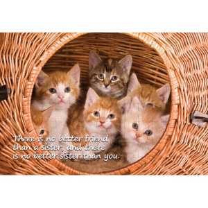 Ajooba Dubai Sister Love Puzzle 2339