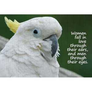 Ajooba Dubai Love Puzzle 2346