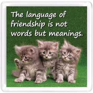 Motivational Magnet Friendship MMF 9131