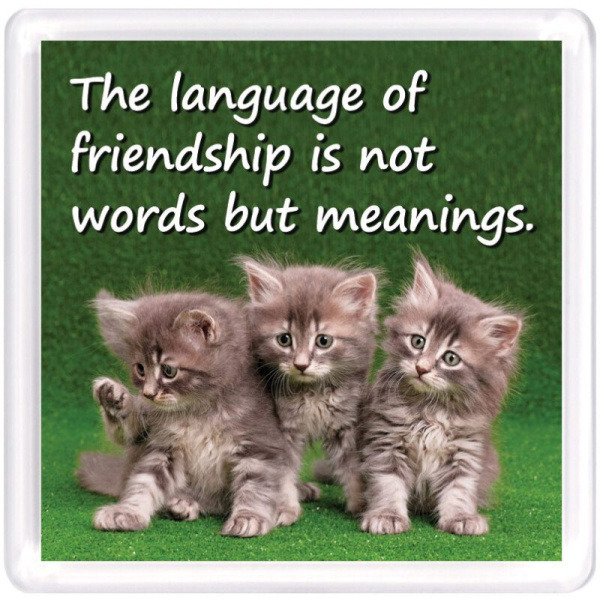 WM Friends 32 1