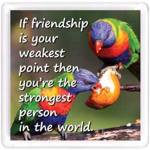 Motivational Magnet Friendship MMF 9132