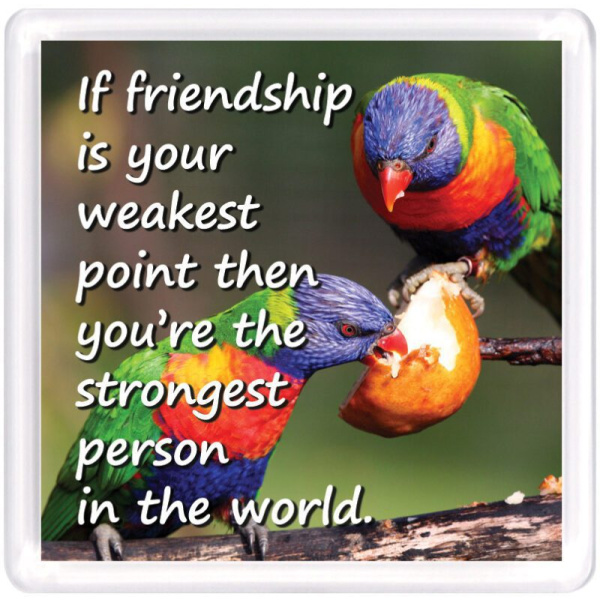 WM Friends 33 1