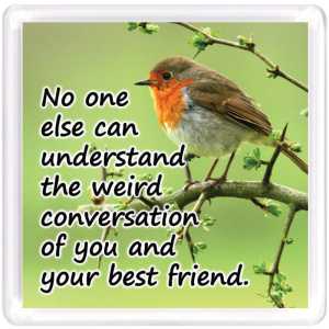 Motivational Magnet Friendship MMF 9135