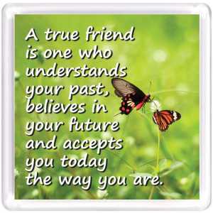 Motivational Magnet Friendship MMF 9149