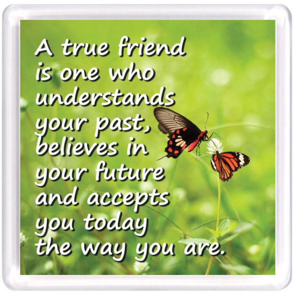 WM Friends 50 1