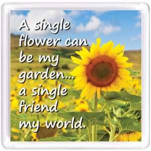 Motivational Magnet Friendship MMF 9107