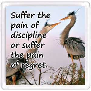 Motivational Magnet MM 7701