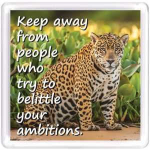Motivational Magnet MM 7638