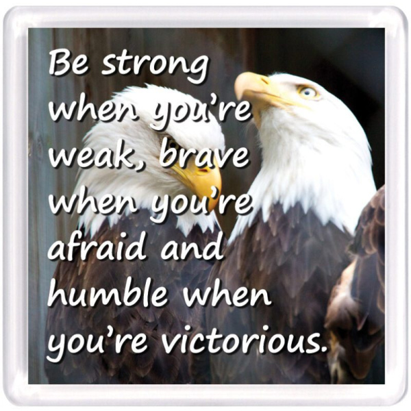 WM Motivational 61 1