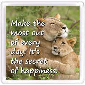 Motivational Magnet MM 7690