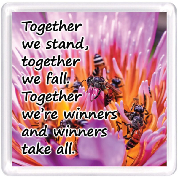 WM Teamwork 10 1