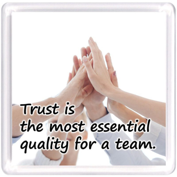 WM Teamwork 6 1