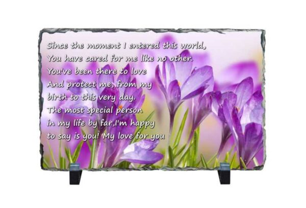 XL rectangle Mother 4 1