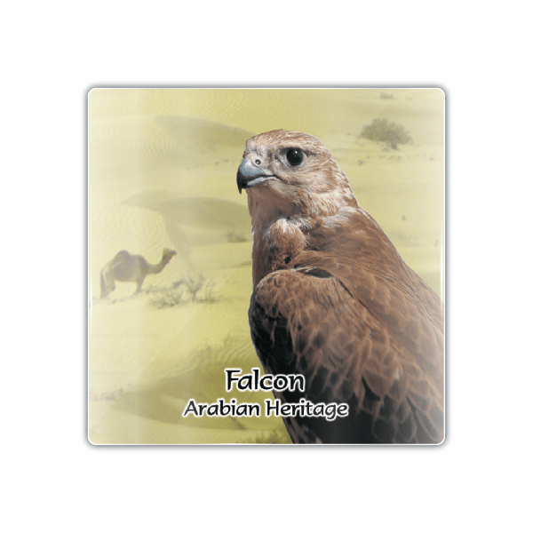 Falcon Arabian Heritage - M General 005