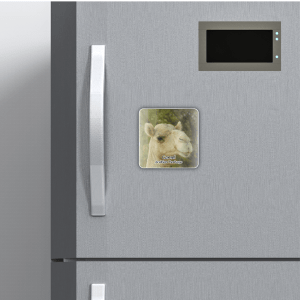 Mock M Camel 004