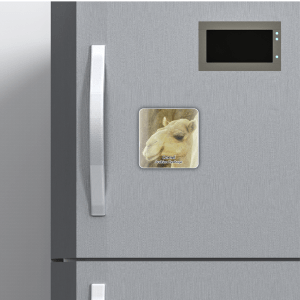 Mock M Camel 008