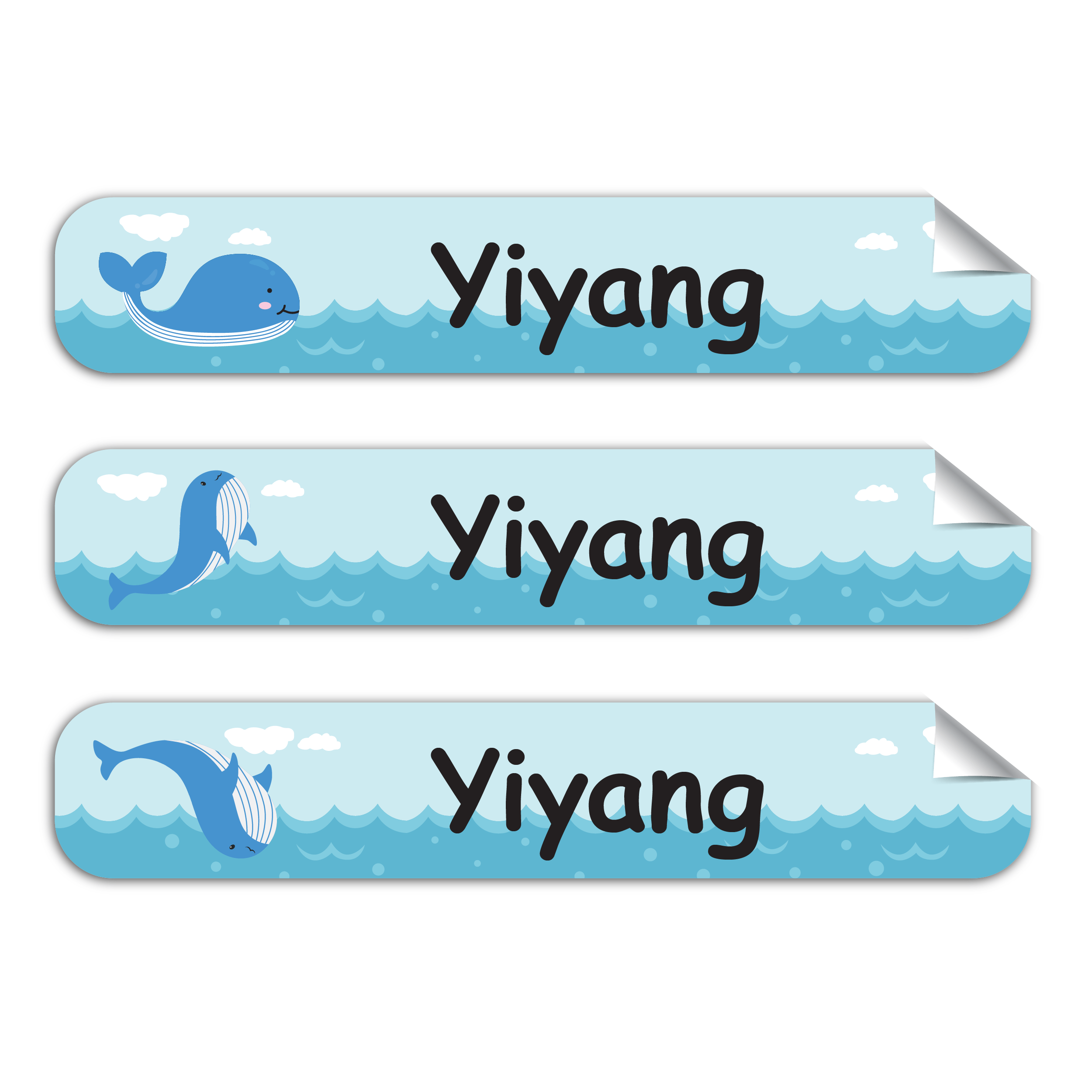 Incredible Whale -Pack of 50 Incredible Whale -Pack of 50