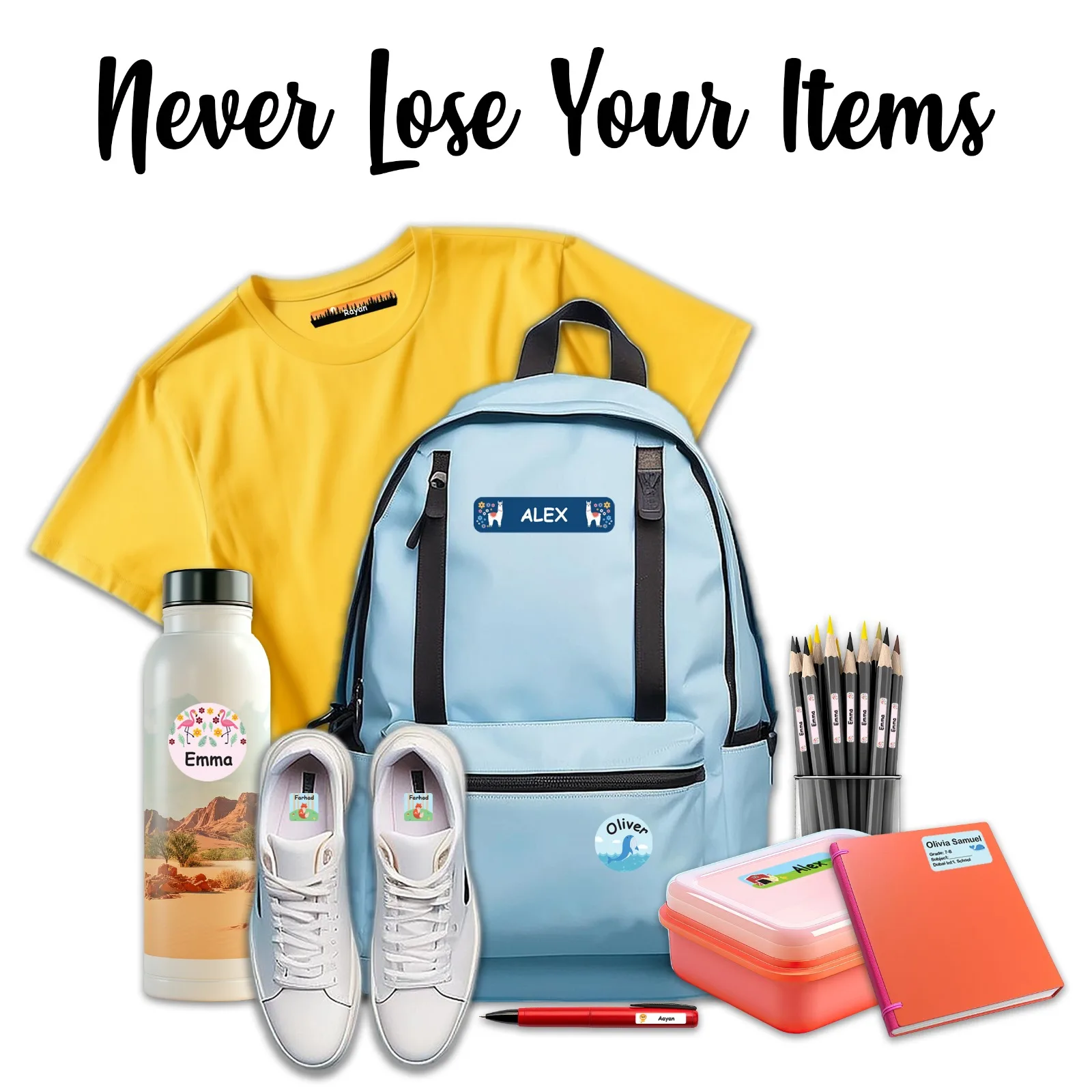 MLL202406VP107006 4 MLL202406VP107006 4