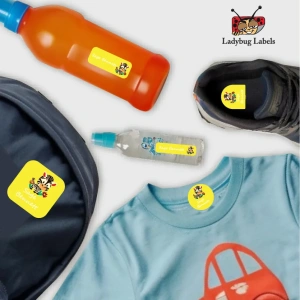 LBL202406PKCL30003 3