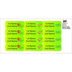 LBL202406PKCL30009 2